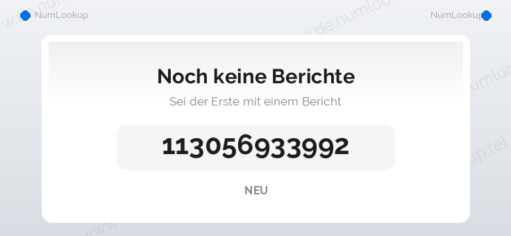 Nummerninformation für 113056933992