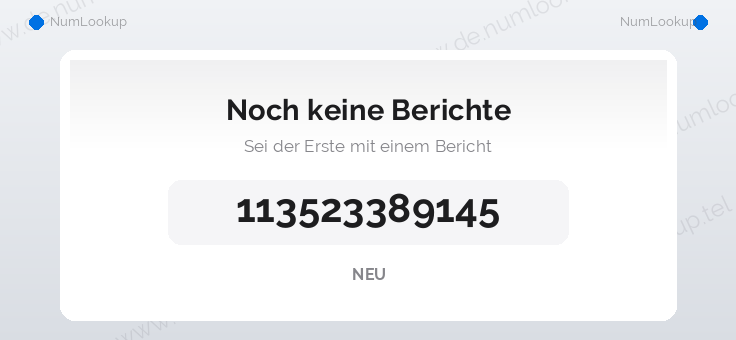Nummerninformation für 113523389145