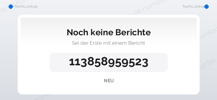 Nummerninformation für 113858959523