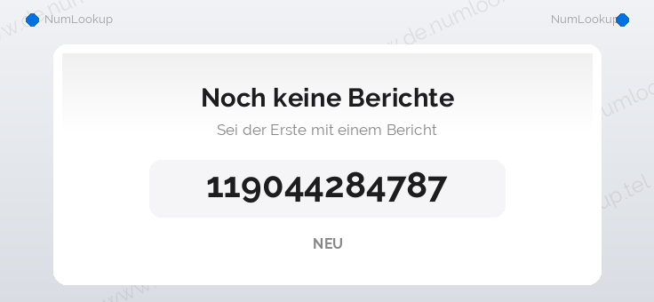 Nummerninformation für 119044284787