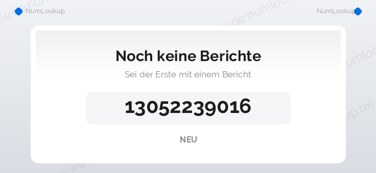 Nummerninformation für 13052239016