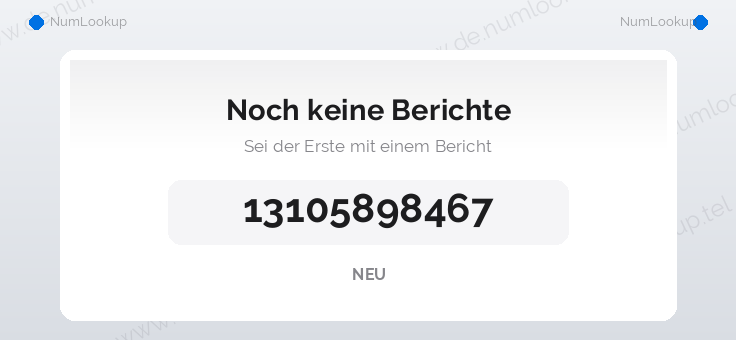 Nummerninformation für 13105898467
